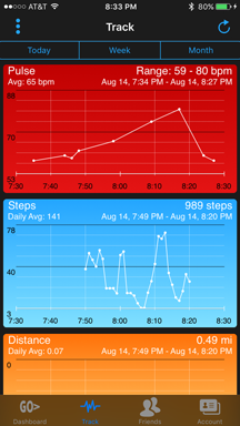 Cocoalena Software iPhone GO Fitness Tracker